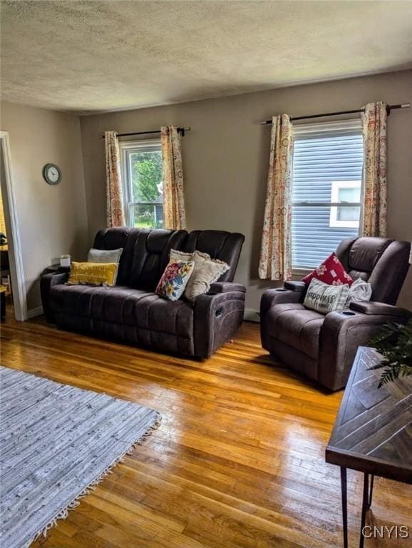 538 Seneca St, Oneida-Inside, NY 13421 - living room featuring wood-type flooring and a textured ceiling