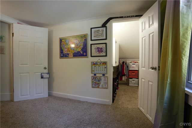 4162 Jordan Rd, Skaneateles, NY 13152 - photo 31
