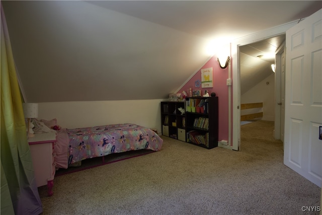 4162 Jordan Rd, Skaneateles, NY 13152 - photo 27