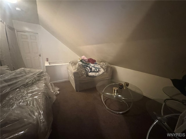 79 Freund St, Buffalo, NY 14215 - bedroom with vaulted ceiling and carpet floors