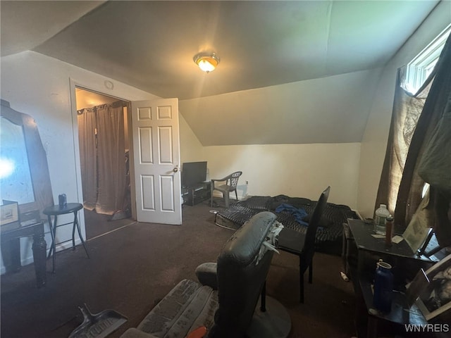 79 Freund St, Buffalo, NY 14215 - additional living space featuring lofted ceiling and carpet flooring