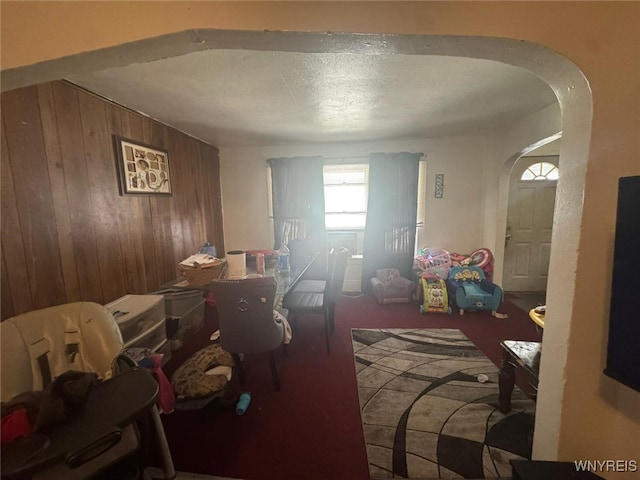 79 Freund St, Buffalo, NY 14215 - rec room featuring wood walls, arched walkways, and carpet flooring