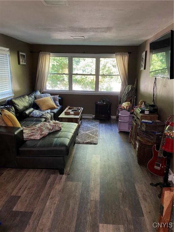 131 Wheaton Rd, Syracuse, NY 13203 - living room featuring wood finished floors, plenty of natural light, and a baseboard radiator