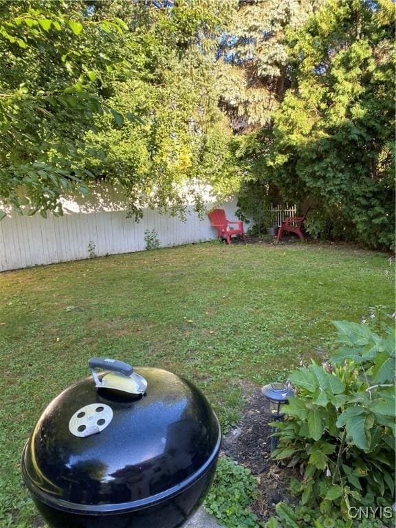131 Wheaton Rd, Syracuse, NY 13203 - view of yard