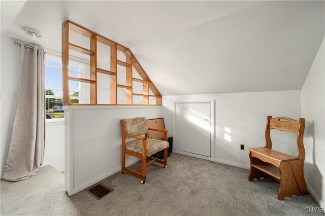 6336 Pillmore Dr, Lee, NY 13440 - photo 26