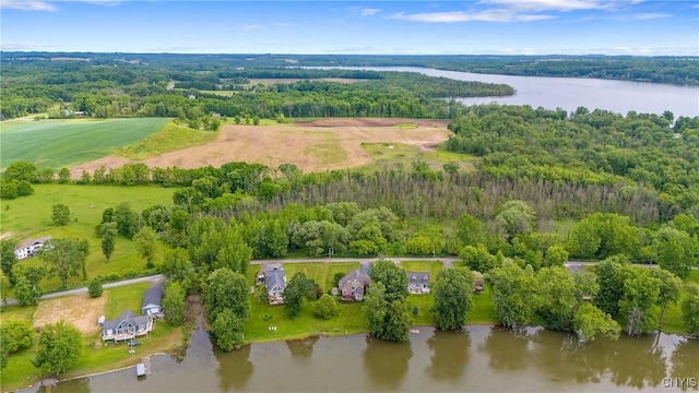 84 Krystyna Ln Unit 6, Cato, NY 13080 - bird's eye view of a large body of water and a forest