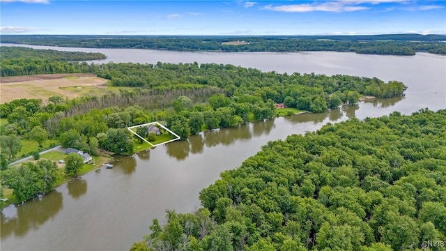 84 Krystyna Ln Unit 6, Cato, NY 13080 - aerial view of property's location featuring a large body of water and property parcel outlined
