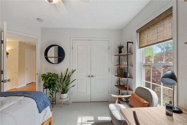 84 Krystyna Ln Unit 6, Cato, NY 13080 - bedroom with a closet and ceiling fan