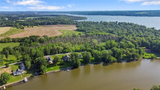 84 Krystyna Ln Unit 6, Cato, NY 13080 - aerial view of property's location with a large body of water