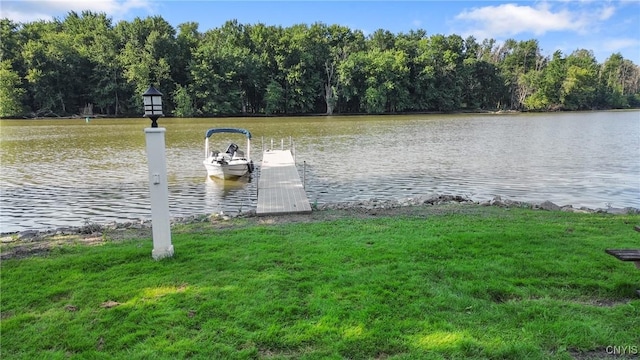 84 Krystyna Ln Unit 6, Cato, NY 13080 - dock featuring a water view and a view of trees