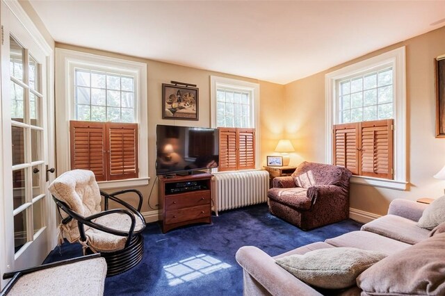 17 S St, Geneseo, NY 14454 - photo 22