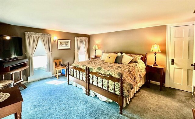 17 S St, Geneseo, NY 14454 - photo 30