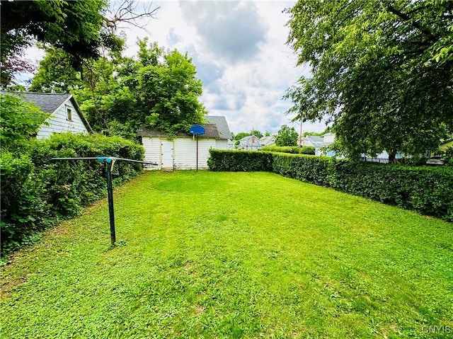 300 Hillsdale Ave, Syracuse, NY 13206 - view of yard with a shed