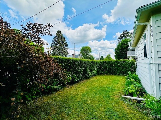 300 Hillsdale Ave, Syracuse, NY 13206 - view of yard