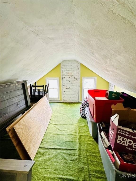 300 Hillsdale Ave, Syracuse, NY 13206 - additional living space with carpet and vaulted ceiling