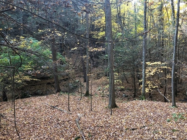 4765 Seneca Point Rd, Canandaigua-Town, NY 14424 - photo 3