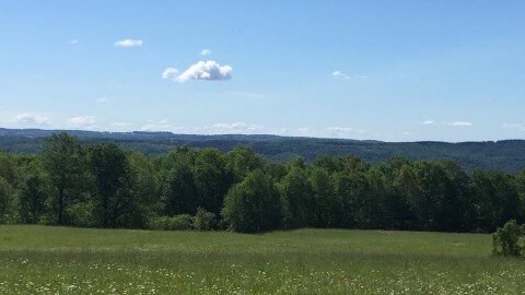 4765 Seneca Point Rd, Canandaigua-Town, NY 14424 - photo 4