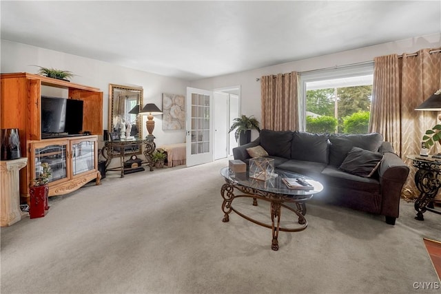 108 Phillips Rd, Syracuse, NY 13214 - carpeted living area featuring french doors