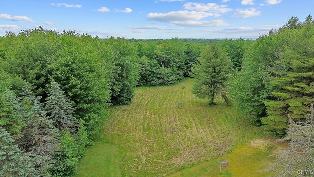854 County Route 19, Williamstown, NY 13493 - photo 42
