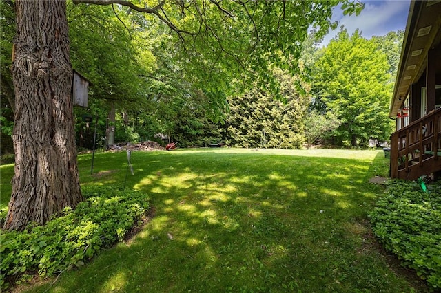 745 Maple Dr, Webster, NY 14580 - view of green lawn