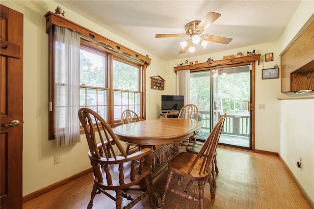 745 Maple Dr, Webster, NY 14580 - dining space featuring light wood-style flooring and a ceiling fan