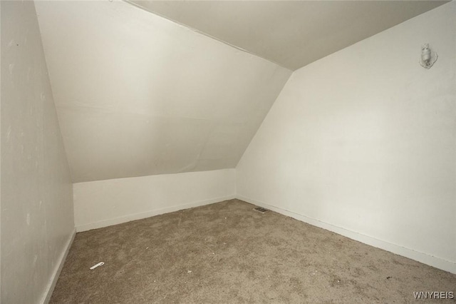 34 Schiller St, Buffalo, NY 14206 - additional living space featuring lofted ceiling and carpet