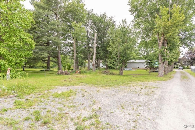 7446 Collamer Rd, Manlius, NY 13057 - view of grassy yard