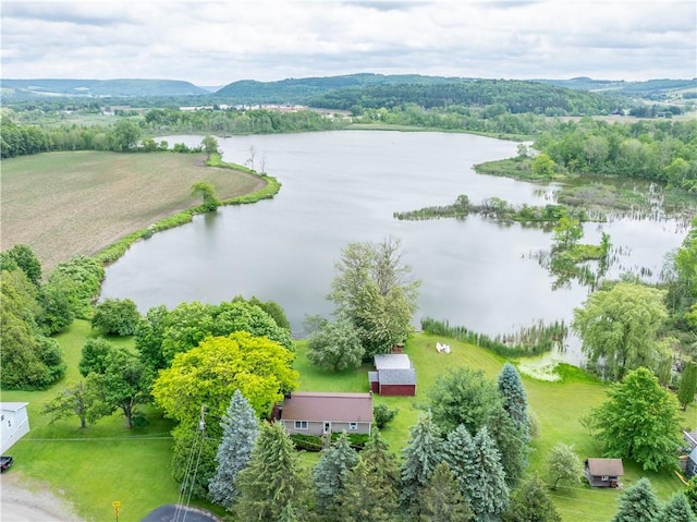 2226 Deiter Rd, Wayland, NY 14572 - drone / aerial view of a nearby body of water
