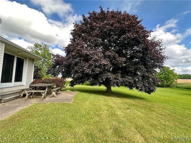 9718 Pearson Rd, Hartland, NY 14105 - view of green lawn featuring a patio area