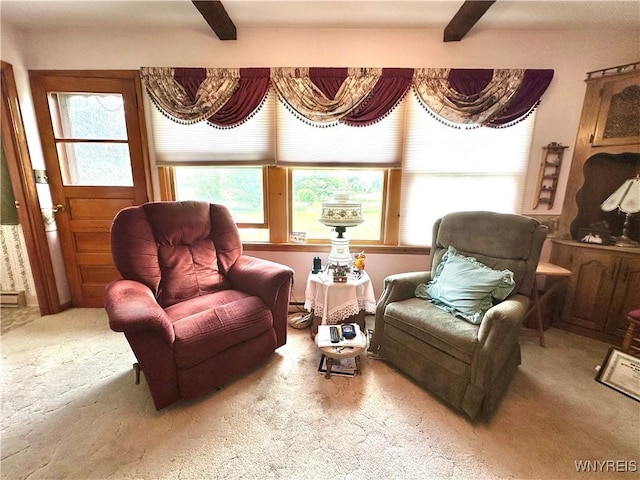 9718 Pearson Rd, Hartland, NY 14105 - living area with beam ceiling and carpet flooring
