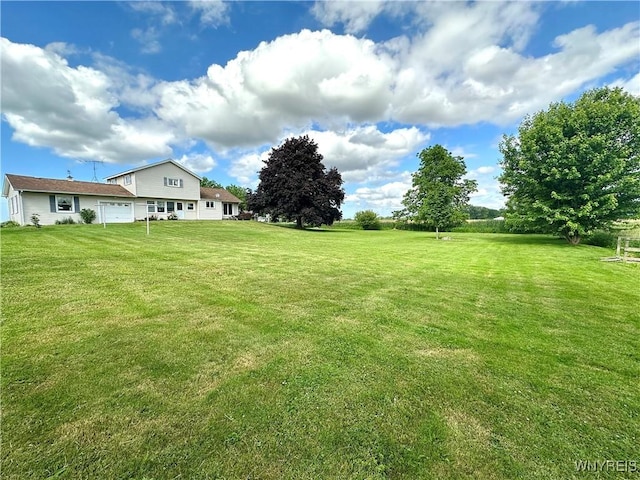 9718 Pearson Rd, Hartland, NY 14105 - view of green lawn