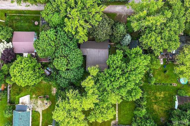 711 Sandy Ave, Evans, NY 14006 - drone / aerial view