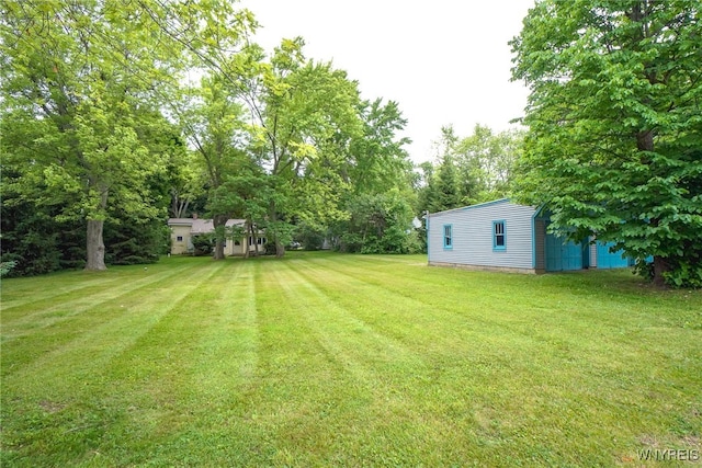 711 Sandy Ave, Evans, NY 14006 - view of green lawn with view of scattered trees
