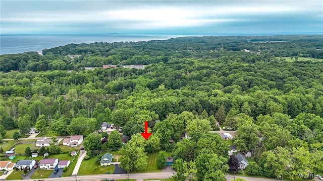 711 Sandy Ave, Evans, NY 14006 - aerial view of a forest and a large body of water