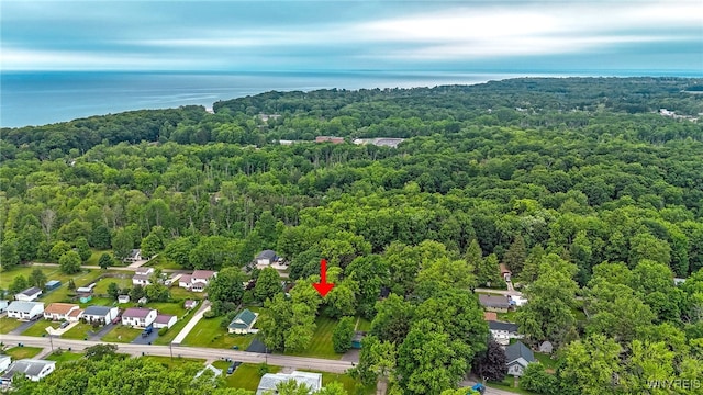 711 Sandy Ave, Evans, NY 14006 - aerial overview of property's location featuring a heavily wooded area and a large body of water