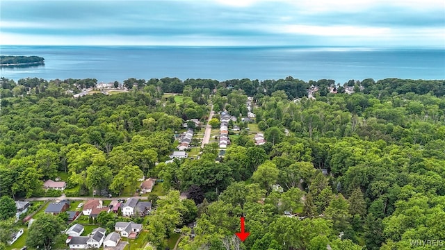 711 Sandy Ave, Evans, NY 14006 - aerial view of property's location with a forest and a large body of water