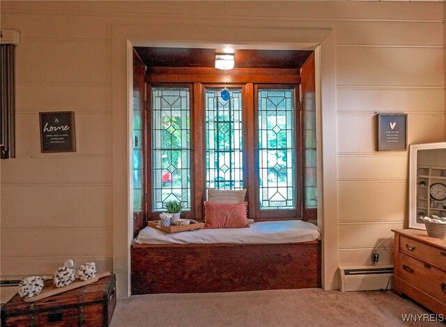 711 Sandy Ave, Evans, NY 14006 - carpeted bedroom featuring a baseboard radiator, a decorative wall, and multiple windows