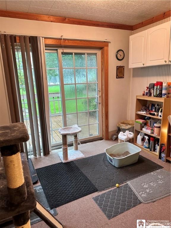 417 4th Ave, Olean-City, NY 14760 - living area with carpet