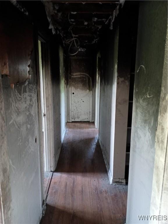 69 Steele Cir, Niagara, NY 14304 - hall with hardwood / wood-style flooring