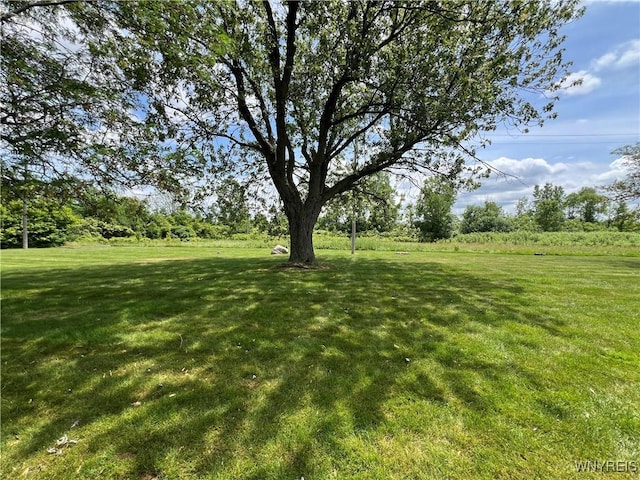 69 Steele Cir, Niagara, NY 14304 - view of green lawn