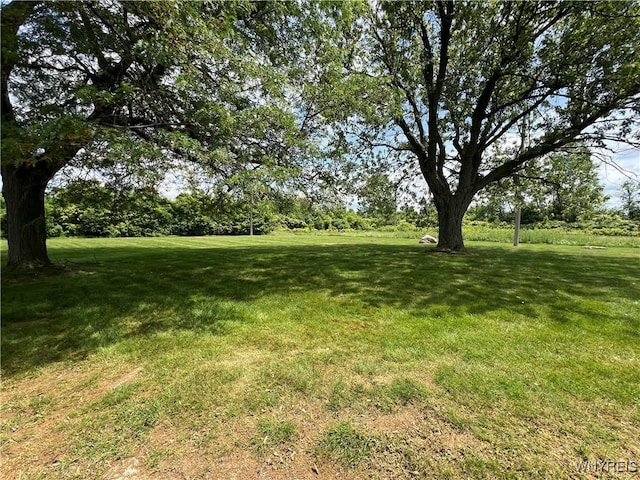 69 Steele Cir, Niagara, NY 14304 - view of grassy yard