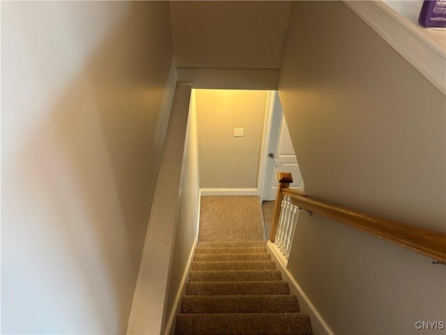 165 Shaker Hts, Camillus, NY 13031 - stairs with carpet and baseboards