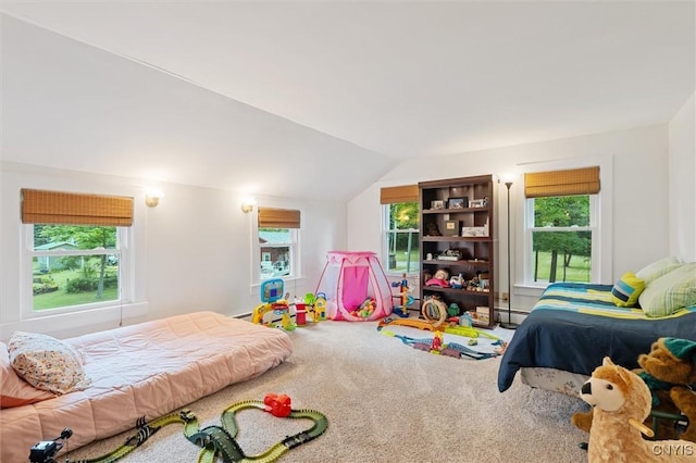 36 Ackerman Rd, Constantia, NY 13028 - photo 31