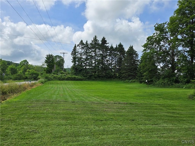 7412 State Highway 51, Plainfield, NY 13491 - view of green lawn