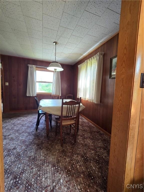 7412 State Highway 51, Plainfield, NY 13491 - dining room featuring wooden walls and baseboards