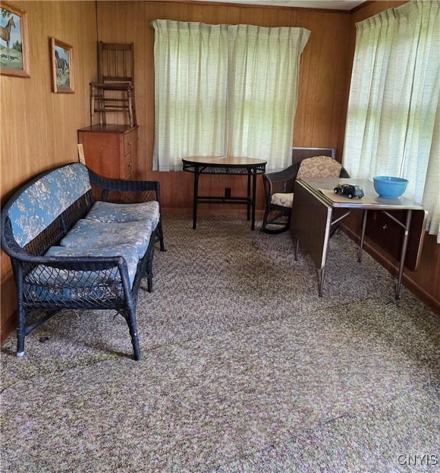 7412 State Highway 51, Plainfield, NY 13491 - sitting room with wood walls and carpet flooring