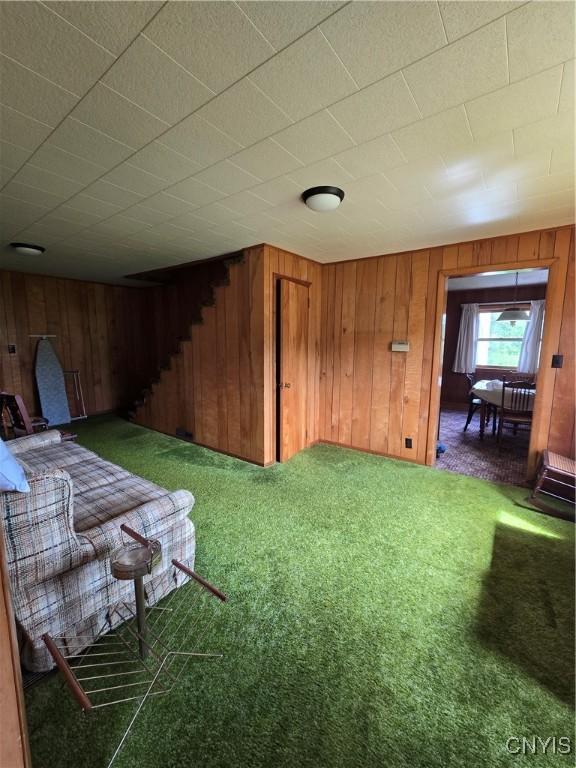 7412 State Highway 51, Plainfield, NY 13491 - view of yard