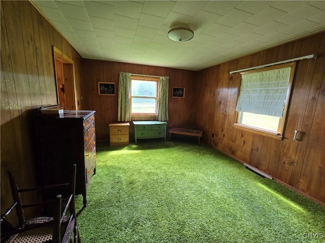 7412 State Highway 51, Plainfield, NY 13491 - unfurnished bedroom featuring light carpet and wooden walls