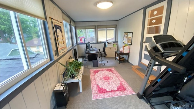 41 Maple Ave, Hamburg, NY 14075 - home office featuring carpet flooring