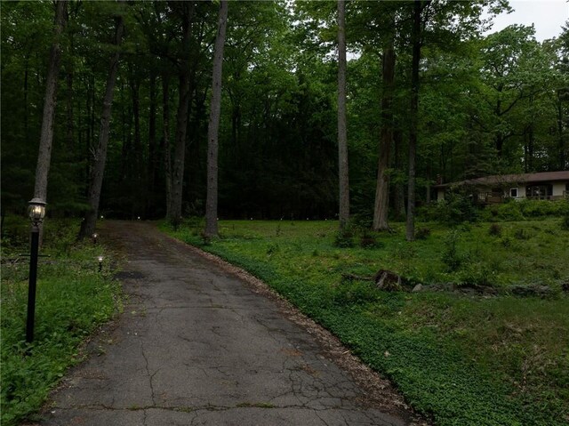 75 Noyes Rd, Vestal, NY 13850 - photo 36